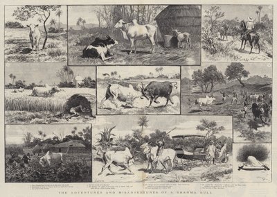 En brahmatyrs eventyr og uheld af Adrien Emmanuel Marie